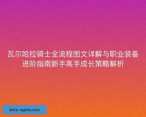 瓦尔哈拉骑士全流程图文详解与职业装备进阶指南新手高手成长策略解析