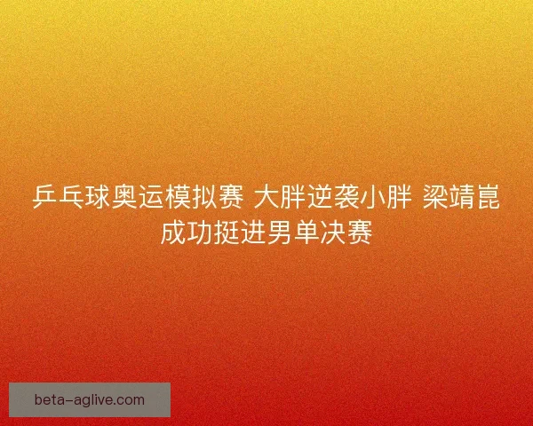 乒乓球奥运模拟赛 大胖逆袭小胖 梁靖崑成功挺进男单决赛