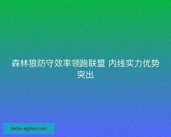 森林狼防守效率领跑联盟 内线实力优势突出