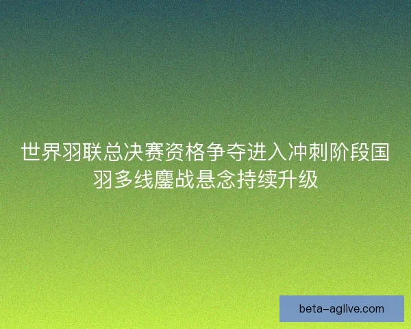 世界羽联总决赛资格争夺进入冲刺阶段国羽多线鏖战悬念持续升级