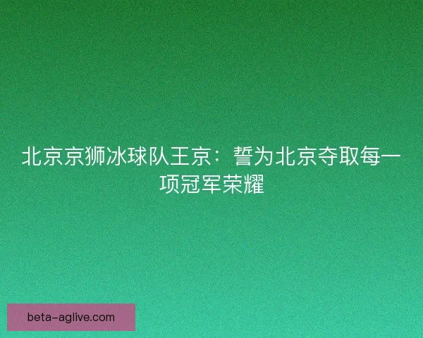北京京狮冰球队王京：誓为北京夺取每一项冠军荣耀